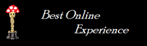 Best Online Experience